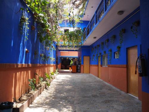 Tuxtla Gutierrez Hotel | Hotel Don Candido