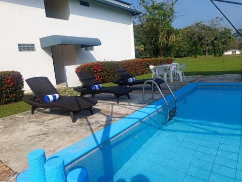 Palenque Hotel | Hotel Los Leones