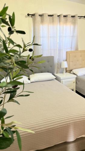 Ejido Erendira Hotel | Hotel Mision Ferrer