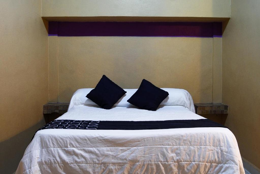Monterrey Hotel | Hotel Platino