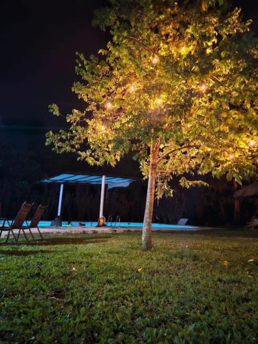 Palenque Hotel | Hotel Quiloma Ranch