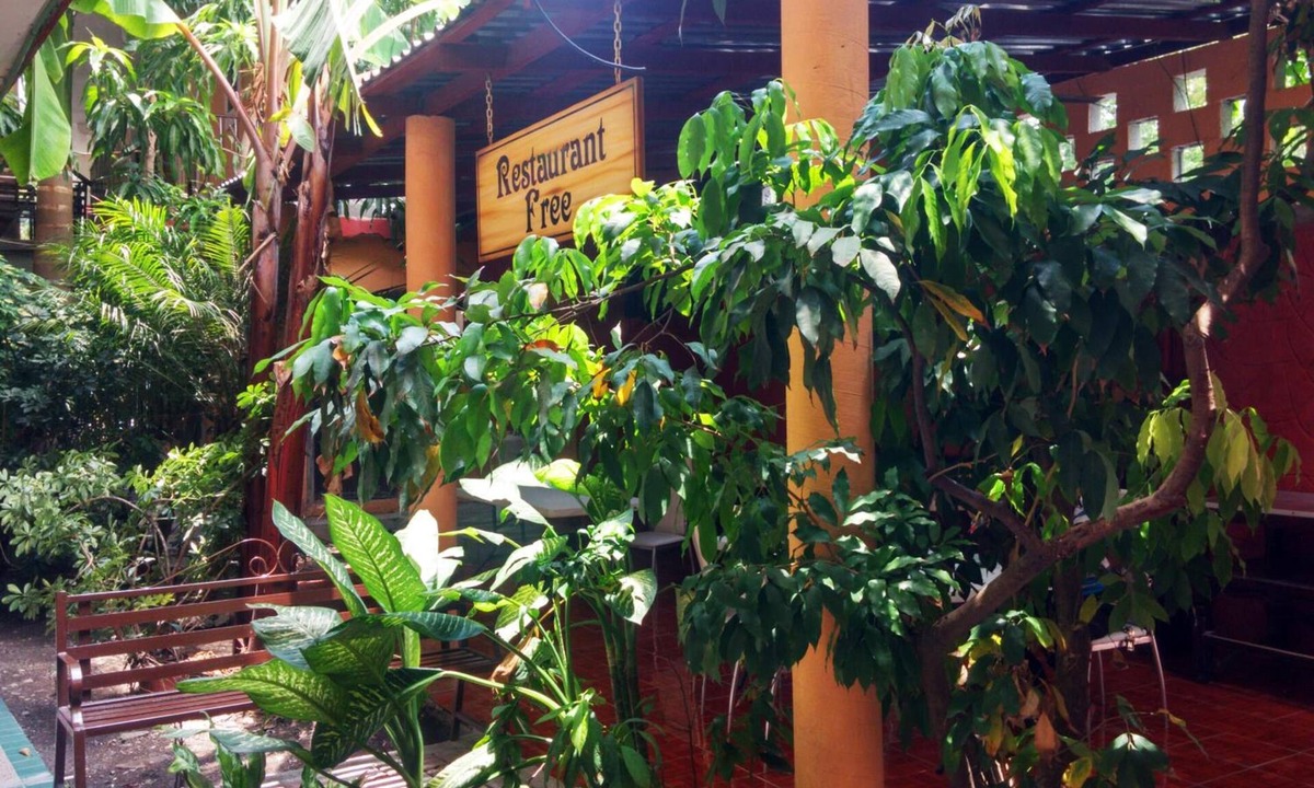 Zona Centro Hotel | Hotel Quinta San Juan