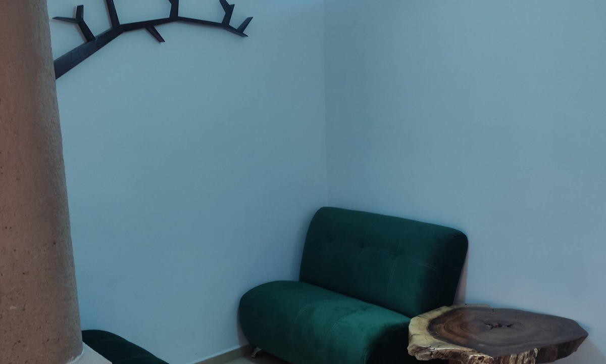 Soledad de Graciano Sanchez House | HOUSE IN PRIVATE FAMILY OR BUSINESS