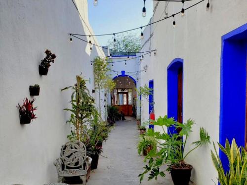 Monterrey Antiguo Hostel | Ikali Hostel