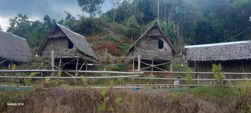 Khlong Sok Resort | Khao Sok Moon Light Hill Camp