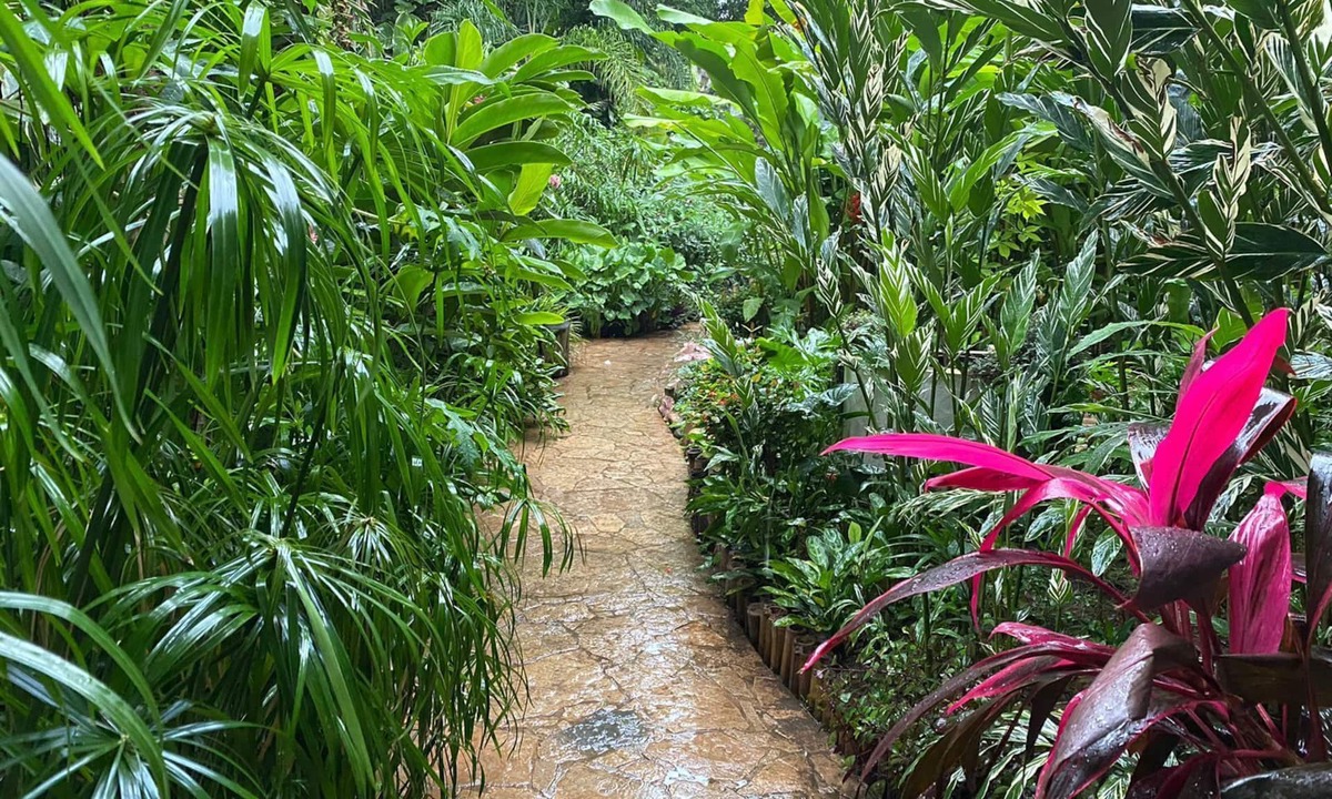 Chiapa De Corzo Hotel | La Ceiba Hotel Spa