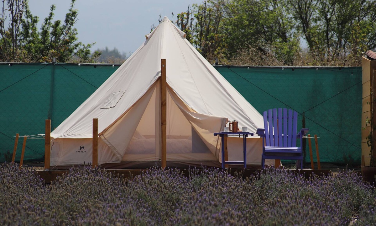 Texcoco de Mora RV Rental | Lavender Dream in Glamping Rincón de Lavanda