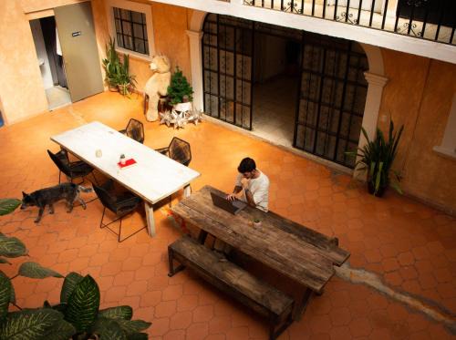 Colonia Guadalupe Hostel | Lool Beh Hostal