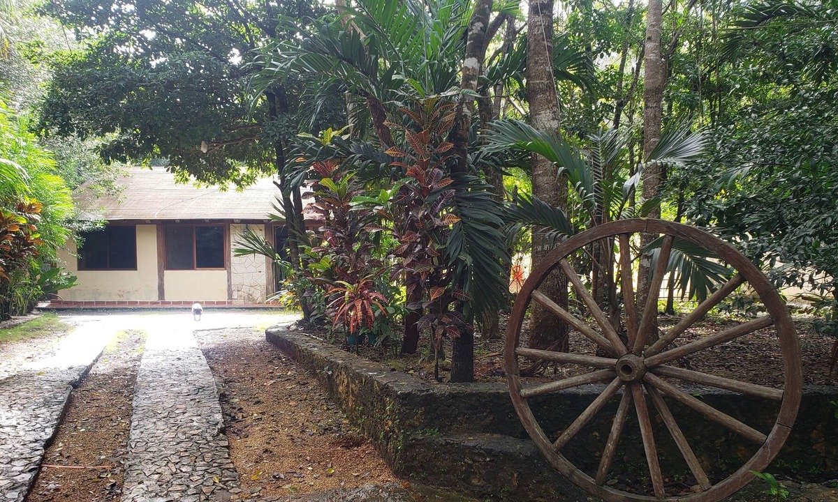 Cancun Cabin | Modern Cabin in the Mayan Jungle Ecological Reserve