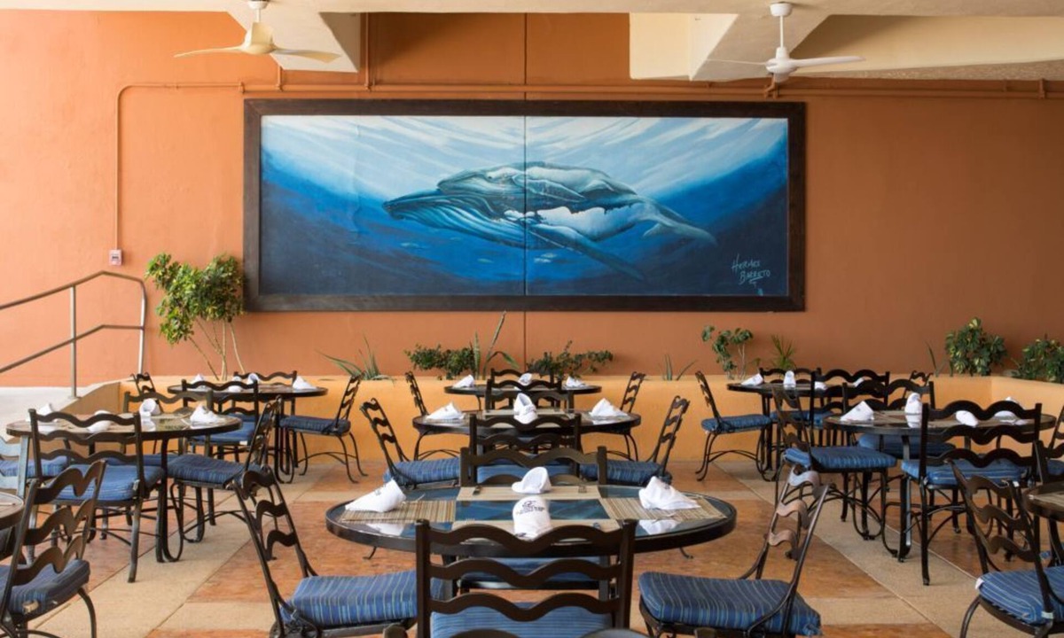 San Jose del Cabo Hotel | Modern Studio Getaway with Beachside Charm
