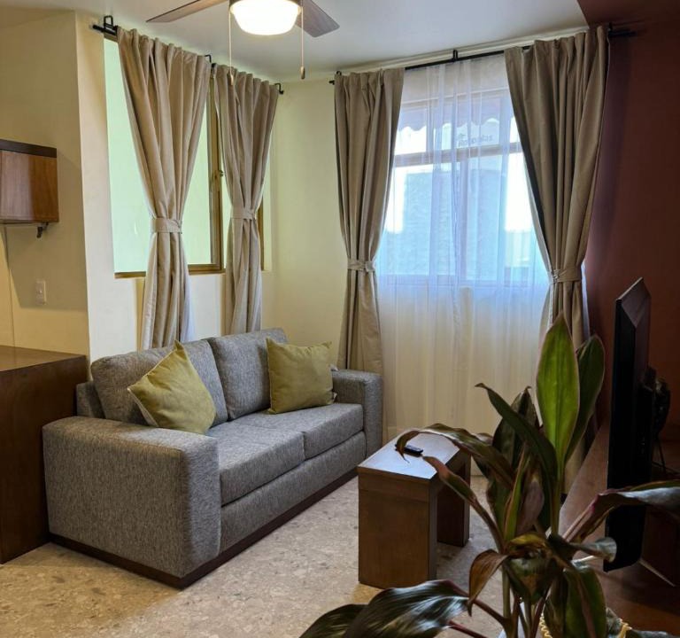 Fresnillo Apartment | Dpto Laberinto 4