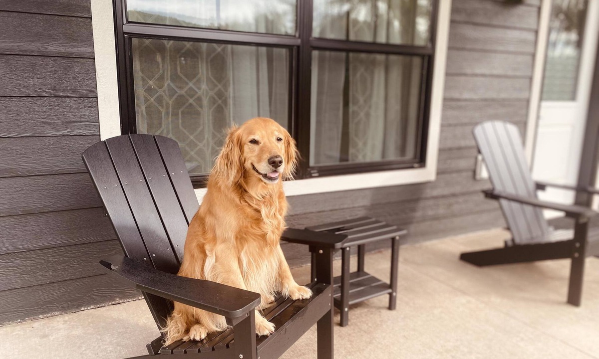 Riverside House | New Shoreline Home | Waterfront | Sauna | Views | Dogs | Trail Access