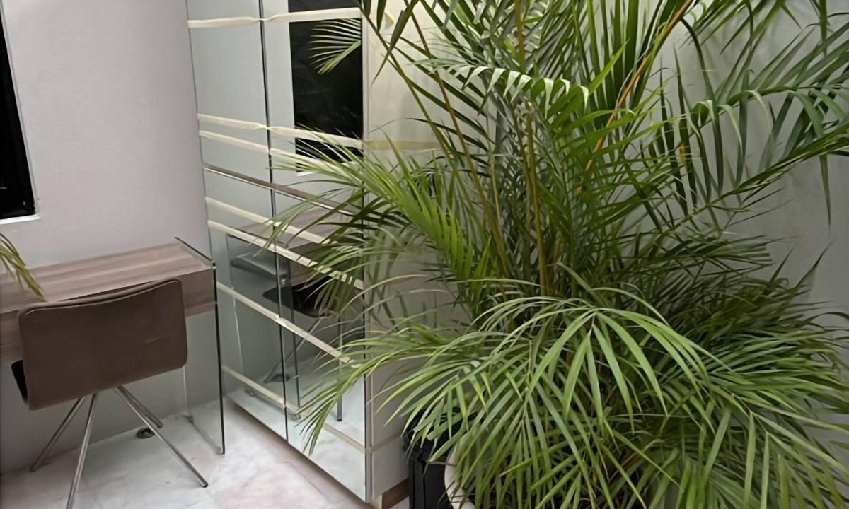 Zona Centro Hotel | NIDO Hotel