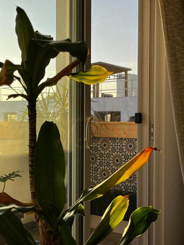 Colinas del Mar House | Oceanview house near Ensenada BC