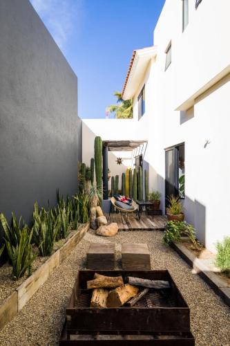 Downtown San Jose del Cabo House | Outsite Los Cabos - Work, Connect, Explore