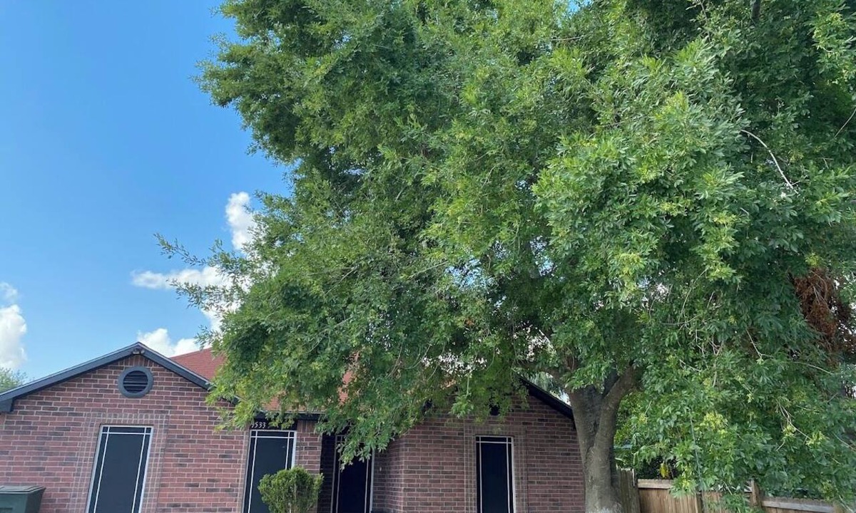 Harlingen House | Perfect 3-bedroom house with AC in welcoming Harlingen