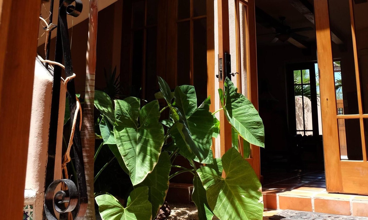 Puerto Escondido House | Perfect Baja Getaway - 2 BR/2BA - 30 seconds to beach