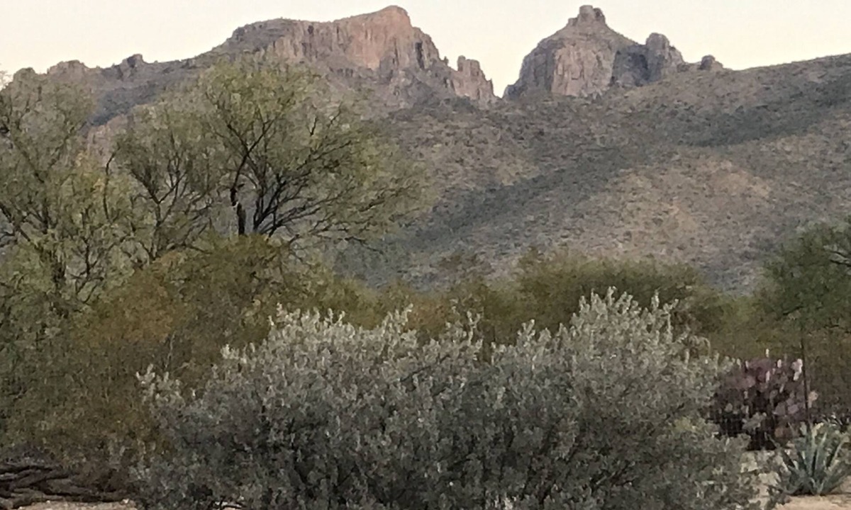 Tanque Verde House | Ranch Casita: views, views, views!