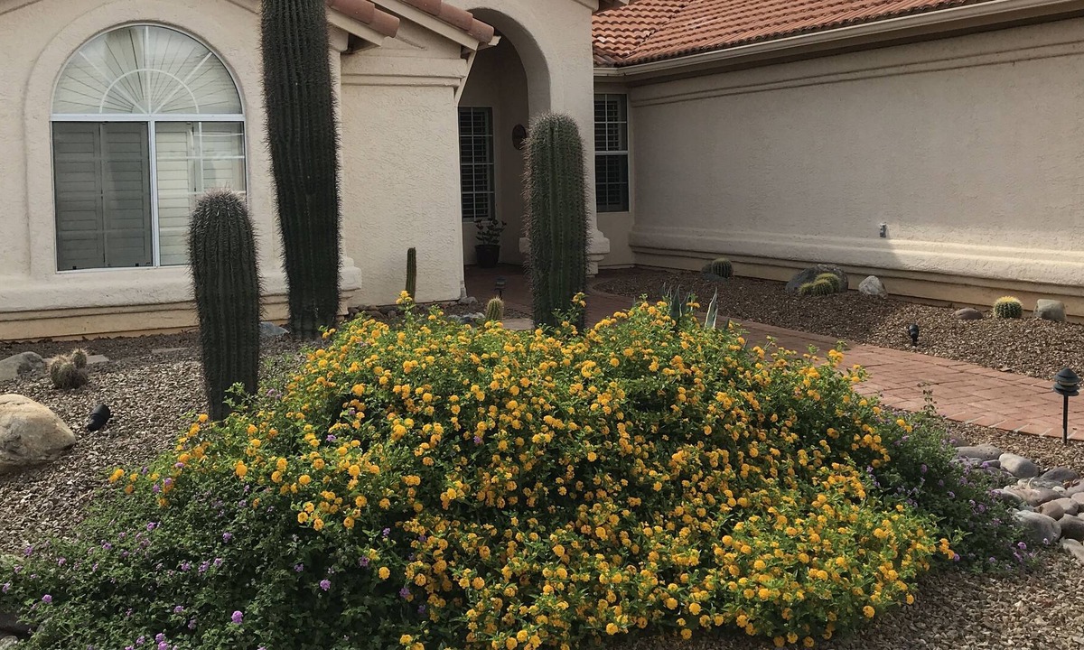 Saddlebrooke House | Relax With A Gorgeous Panoramic Golf Course and Mountain View