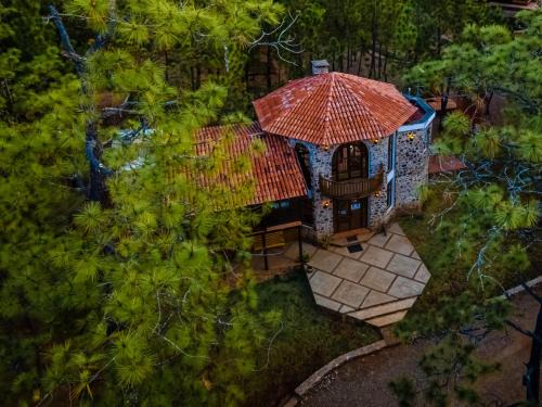 Mascota House | Roca Venados