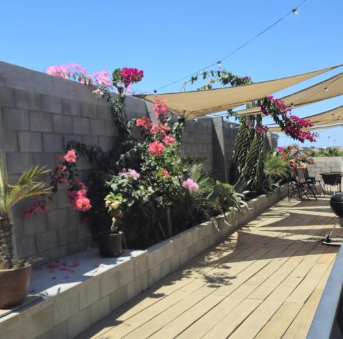 Todos Santos Apartment | Santas y Santos