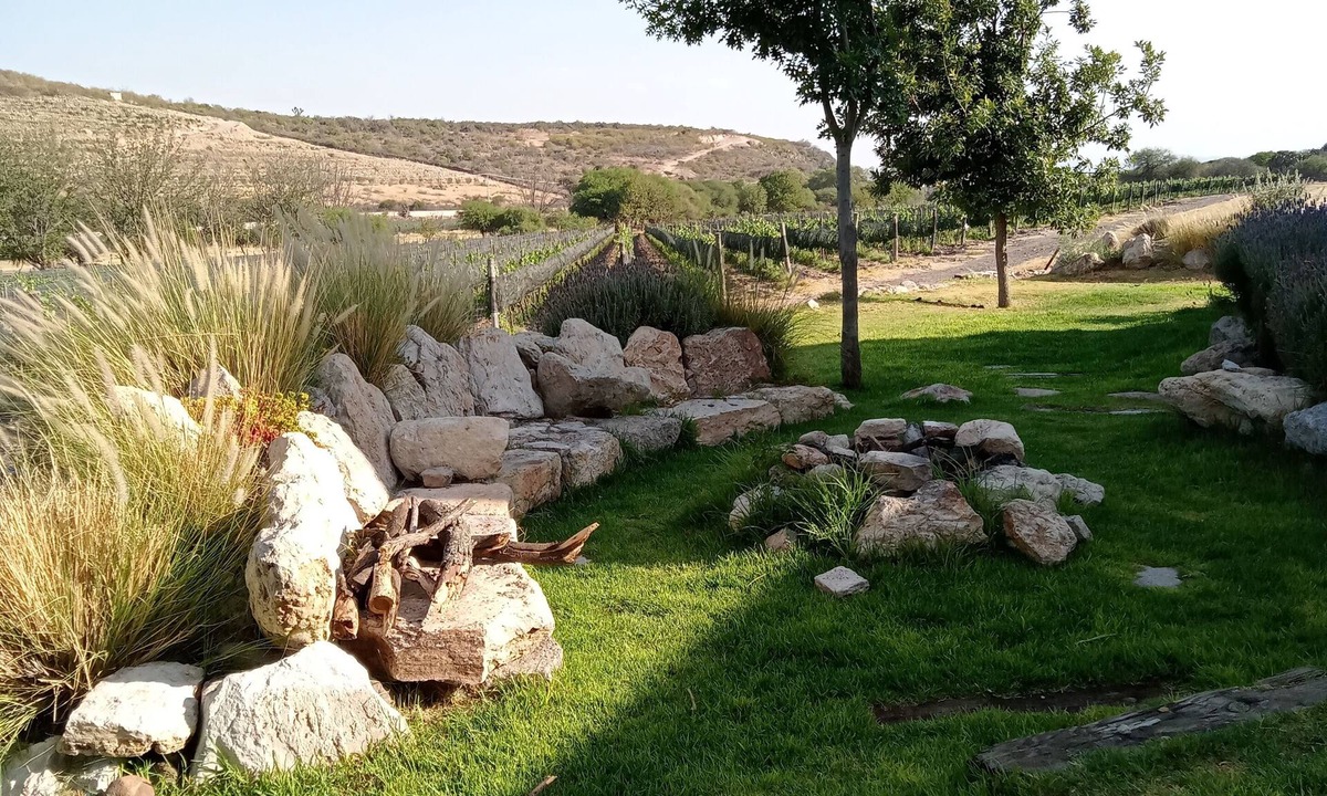 El Marques Villa | Spectacular house surrounded by vineyards, ideal to enjoy with family or friends.