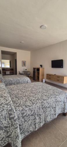 San Carlos House | Suites EL FARO San Carlos