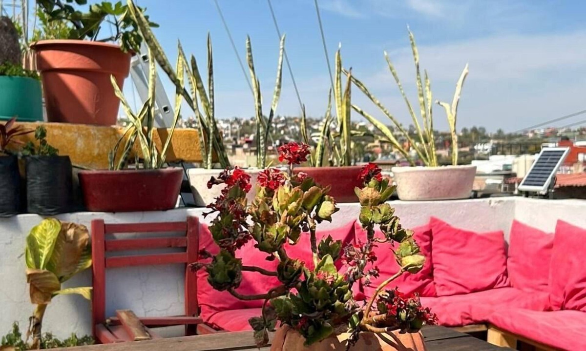 San Miguel de Allende Hotel | Suites Santa Noche