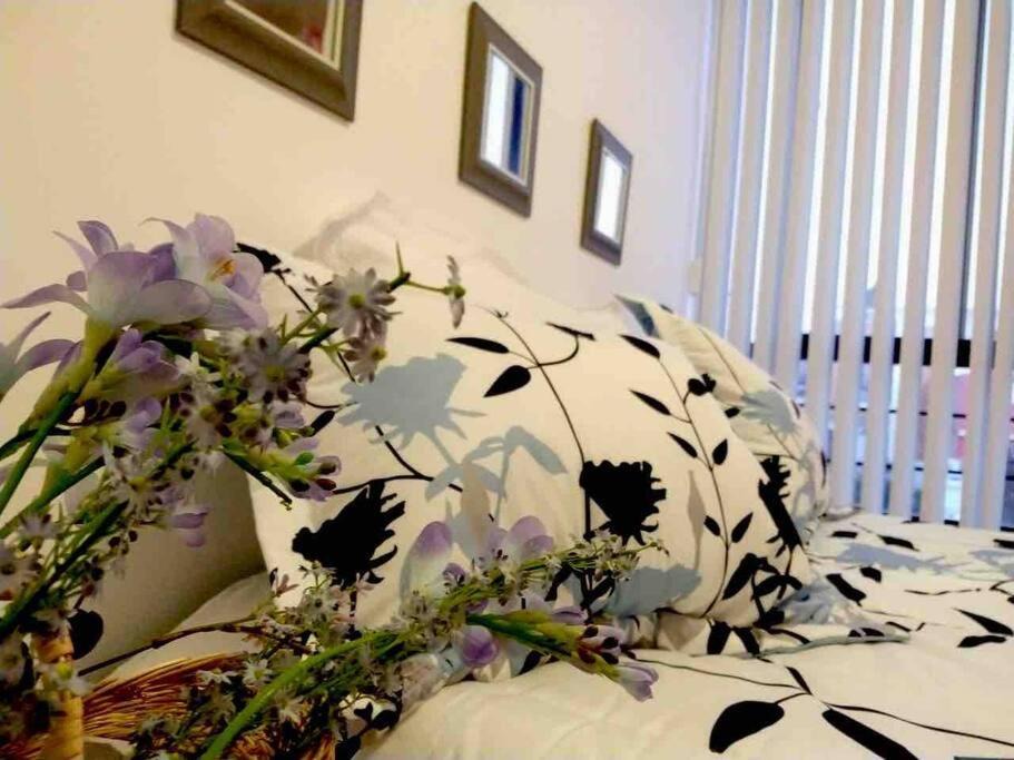 Soledad de Graciano Sanchez House | Sweet Home San Luiss