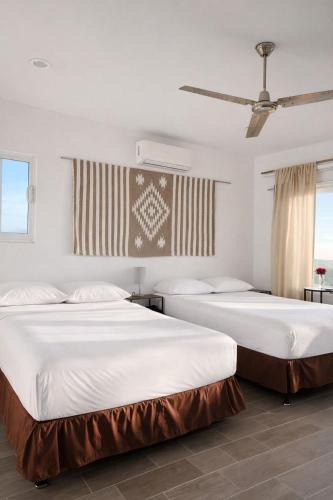 La Ventana Hostel | The Colony La Ventana