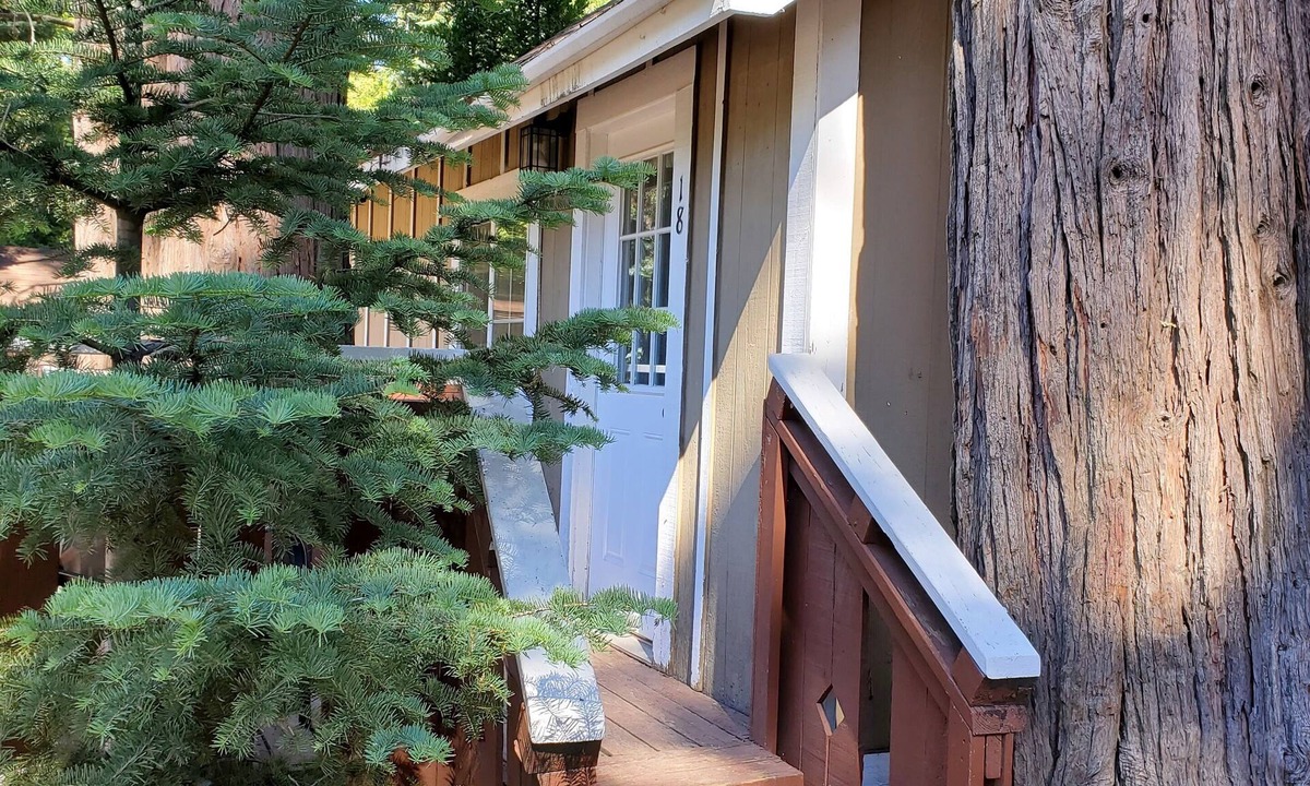 Twin Peaks Cabin | The Evening Star Lookout at The Twin Peaks Lodge