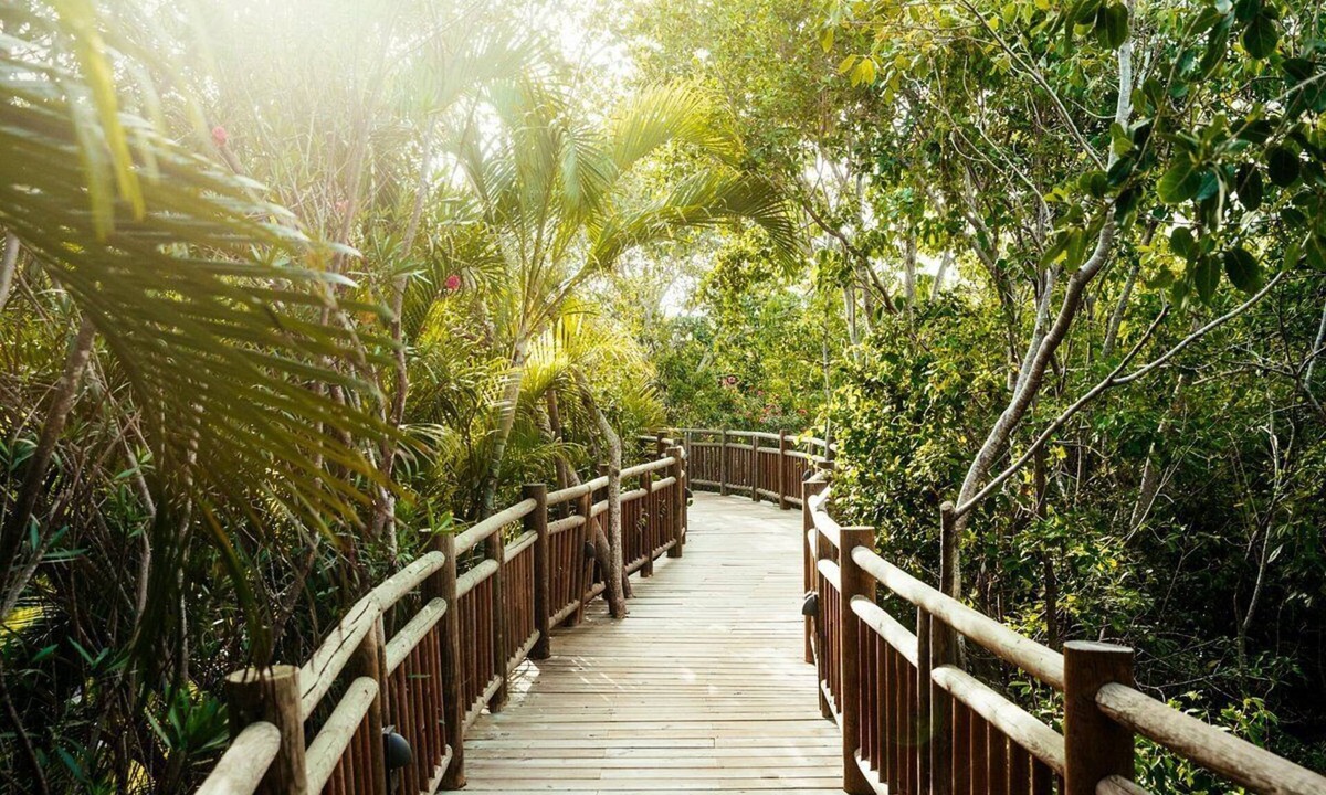 Centro Resort | The Grand Mayan at Vidanta Riviera Maya