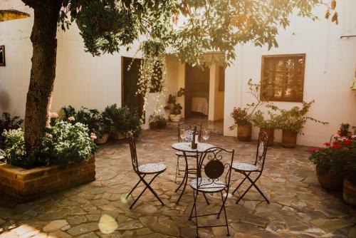 Tepatitlan de Morelos Hotel | TIERRA SOÑADA HOTEL BOUTIQUE