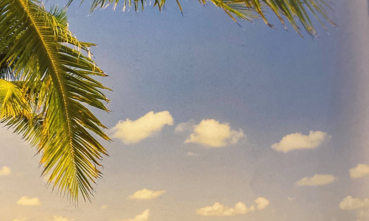 San Jose del Cabo Hotel | Villa La Valencia Beach and Resort