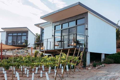 Valle de Guadalupe Bed & Breakfast | Villa LOAR Valle de Guadalupe