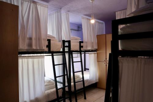 El Rosarito Hostel | Whale Tales Hostel