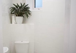 Bright Comfortable Studio Apt. in Leith in Edinburgh