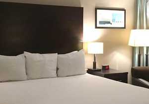 Radisson Hotel Winnipeg Downtown in Winnipeg