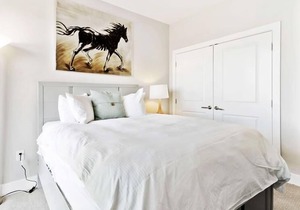 Spacious 2BR Apt | Work Desk + Internet | Pentagon City in Arlington