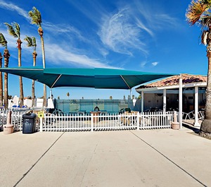 Island Village Sand Dollar 