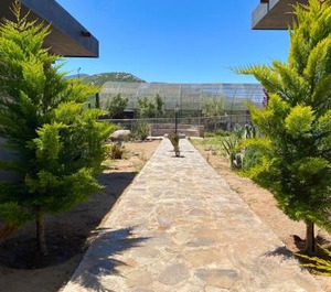 Coquenas Del Valle 