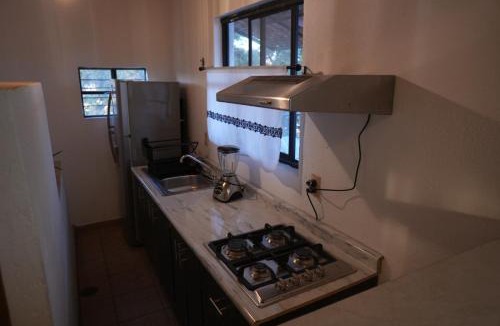 Aguascalientes Apartment | Árbol Paraíso y Terraza Mezquite