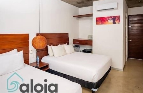 Venustiano Carranza Hostel | 103 - Suite with 2 queenbeds great roof top