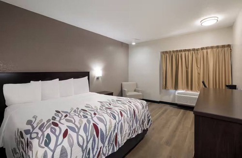 Cortaro Hotel | 2 Scenic Budget Rooms Near Tucson Local Wildlife Spots