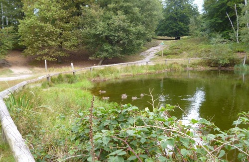 Vahrendorf Apartment | 5*-Comfort-FeWo, 85m²-new building, 6 pers., HH-South, forest and heath, child-friendly!