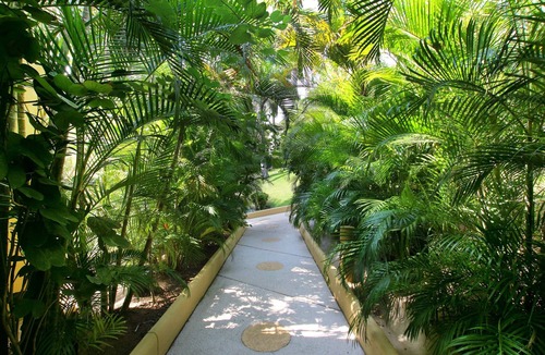 Zihuatanejo Condo | 5 Star Mexican Retreat at the Residencias on Playa La Ropa.