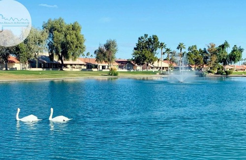 East Mesa House | 55+, Htd Pool, Spa, Tennis, Pickle Ball and more..