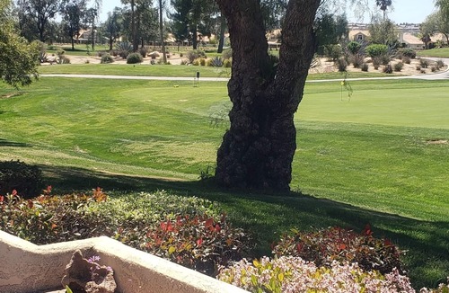 Sun Lakes Condo | 55+ Living, Course frontage! Stroll to Clubhouse/Pools/Restaurant and CHEAP GOLF