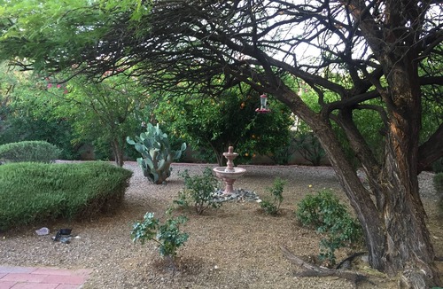 Saddlebrooke House | A Saddlebrooke Gem - unique property - beautiful private yard