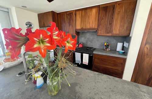 San Jose del Cabo House | Amazing 3-bedroom Eco-Retreat in the beautiful East Cape